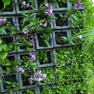 Vertical gardening is going to be a major trend in 2020