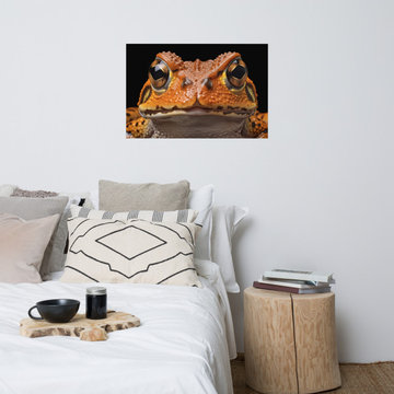 Children's Prints For Bedroom: Beady-Eyed Beauty Frogs Photorealism Painting