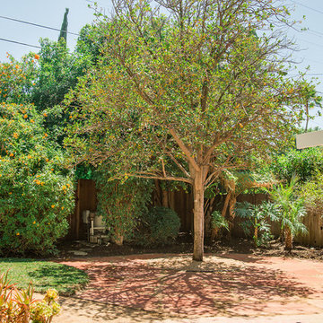 New Backyard In Sherman Oaks