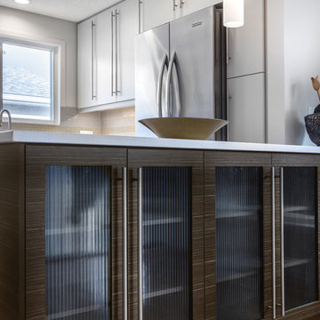 Calgary, Renovation - Aequus