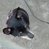 Julia Holtmann's photo