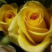 Joanna Bennett's photo