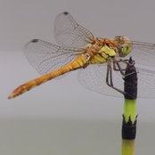 Mathieu Floury's photo