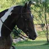 Kelly Clark Schmock's photo