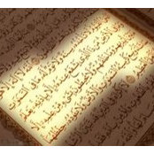 Heba Usef's photo