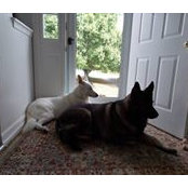 Richard Speakman's photo