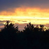 Chris Aronovici's photo
