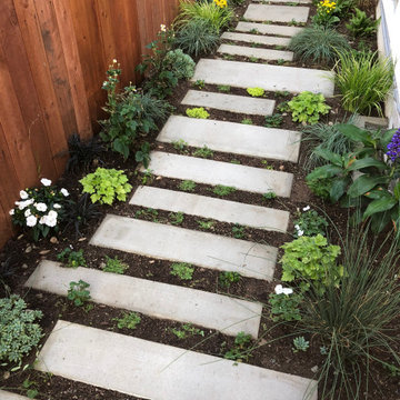 Sideyard Transformation Before & After