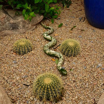 Cave Creek Backyard Oasis