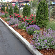 Landscaping Ideas