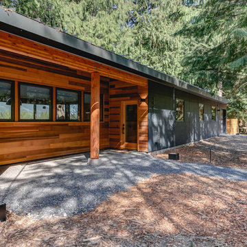 Cabin in the Woods