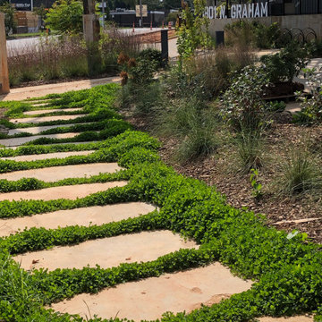 Landscaping Projects