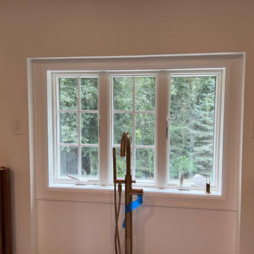 Door and Window Replacement