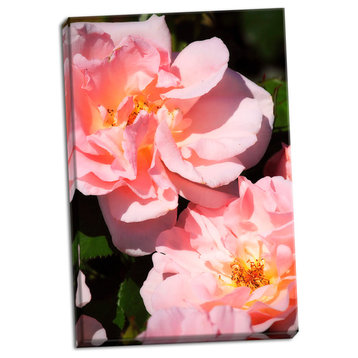 Fine Art Photograph, Wild Roses II, Hand-Stretched Canvas