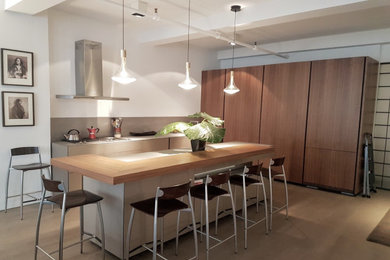 Example of a minimalist kitchen design in New York