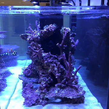 Custom Tank Lights