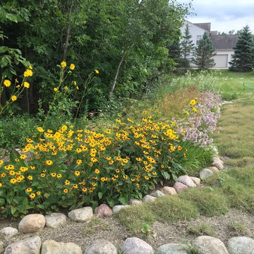 Native Perennial Gardens