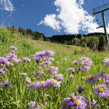 Exhibition Lane, Aspen CO