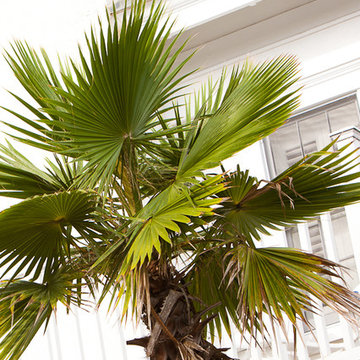 Seaside Florida Beach Cottage