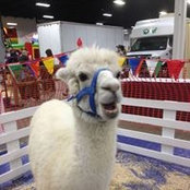 April Lindner's photo
