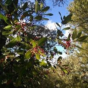 Loreta Zvinklyte's photo