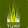 Design Turf Montreal