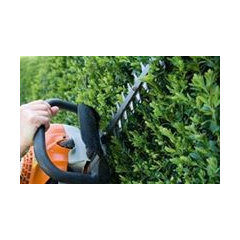 Oaktrees Gardening Services