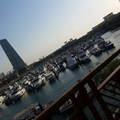 Rose AlMousawi's photo