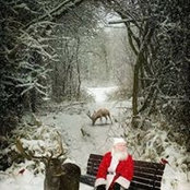 Marilyn Warren's photo