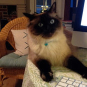 Anne Zarcone's photo