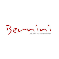 Bernini Stone & Tile