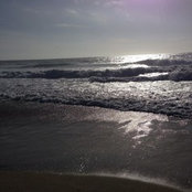 Meagan Westrup's photo