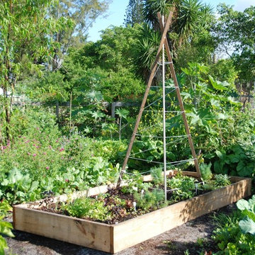 Raised Bed Garden