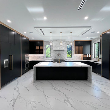 Paramus, NJ Ultra Modern Black And Light Oak Kitchen Project