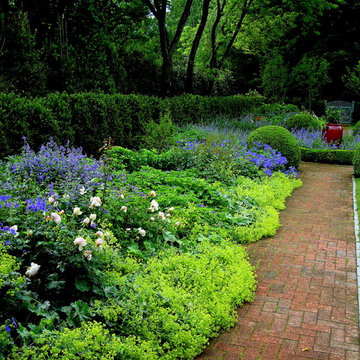 Butterfly garden
