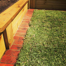 Landscape Ideas