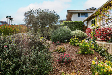 Design ideas for a landscaping in San Francisco.