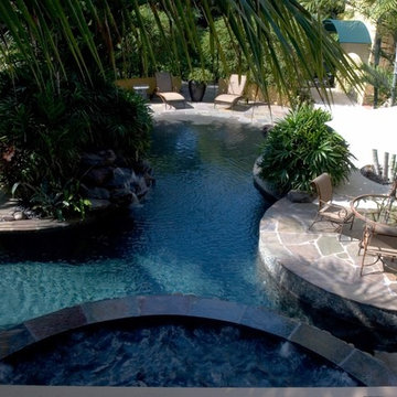 South Miami Tropical Oasis