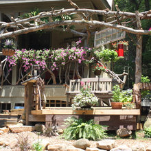 Cabin Landscaping