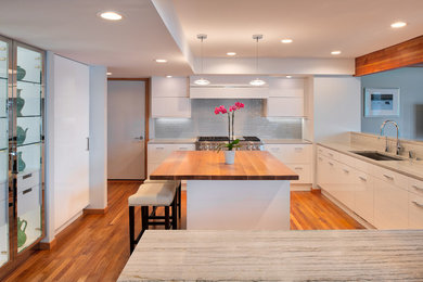 Mid-sized trendy u-shaped medium tone wood floor and orange floor enclosed kitchen photo in Minneapolis with a single-bowl sink, flat-panel cabinets, white cabinets, quartzite countertops, gray backsplash, ceramic backsplash, stainless steel appliances, an island and white countertops