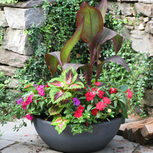 planter ideas