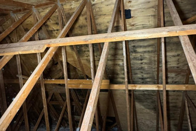 Attic mold removal