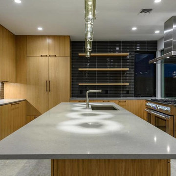 WARREN- CONTEMPORARY NEW CONSTRUCTION HOME IN WEST AUSTIN