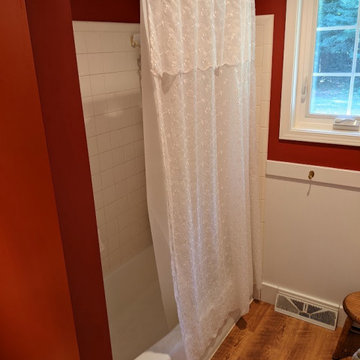 Tub to Shower