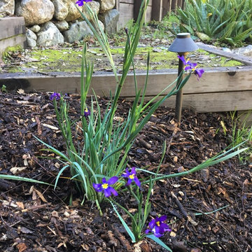 Shady Winter, Sunny Summer Slope