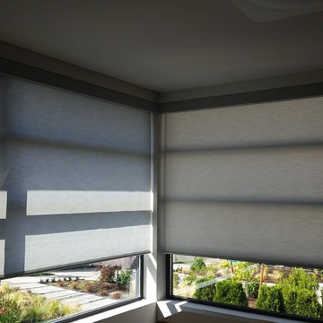 QMotion Shades