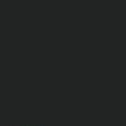 Onyx Black - Paint