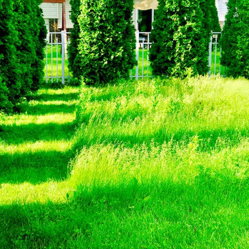 Native Meadow