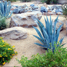 Jury 8009 N Ironwood - Landscaping