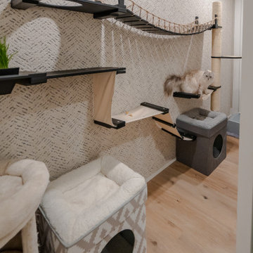 Basement Remodel - New Hope, PA